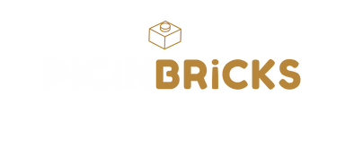 PiCiNBRiCKS logo